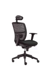 Mesh Chair With Headrest