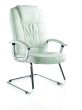 Moore Deluxe Visitor Cantilever Chair  Leather With Arms