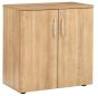 E Space Low D/D Cabinet Wood Cappuccino & 1 Shelf 