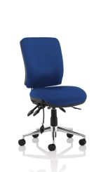 Chiro Medium Back Blue
